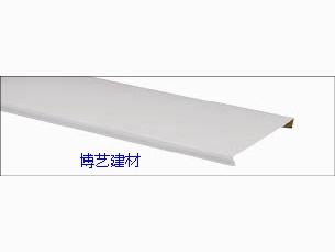 条扣 (12)