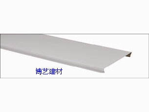 条扣 (11)